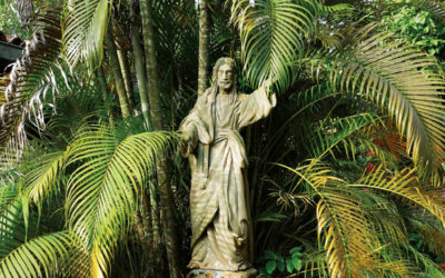 N° 238, 1er trimestre 2022