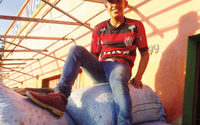 N° 241, 4e trimestre 2022