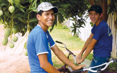 N° 247, 2e trimestre 2024