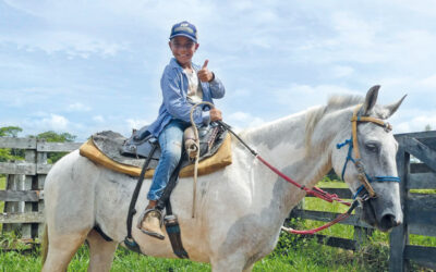 N° 248, 3e trimestre 2024