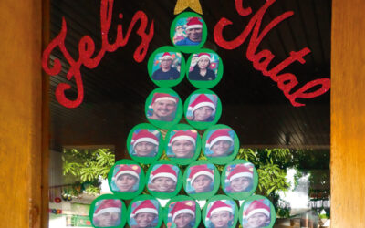 N° 249, 4e trimestre 2024