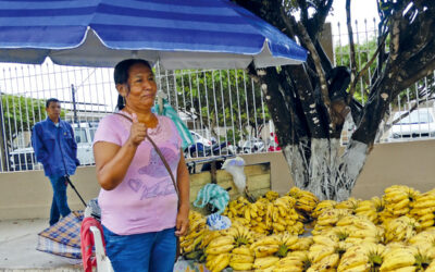 N° 252, 3e trimestre 2025