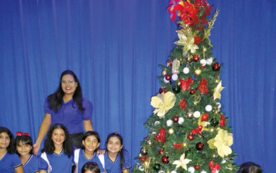 N° 253, 4e trimestre 2025